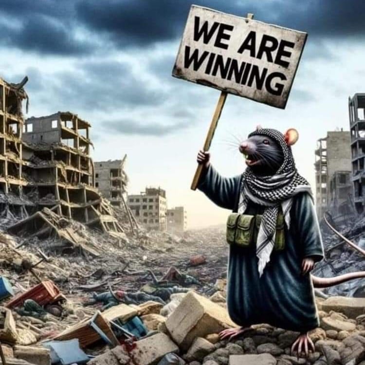 מארק כהן tweet media