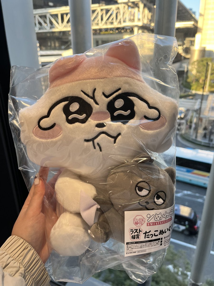 ンめちゃーーーーー