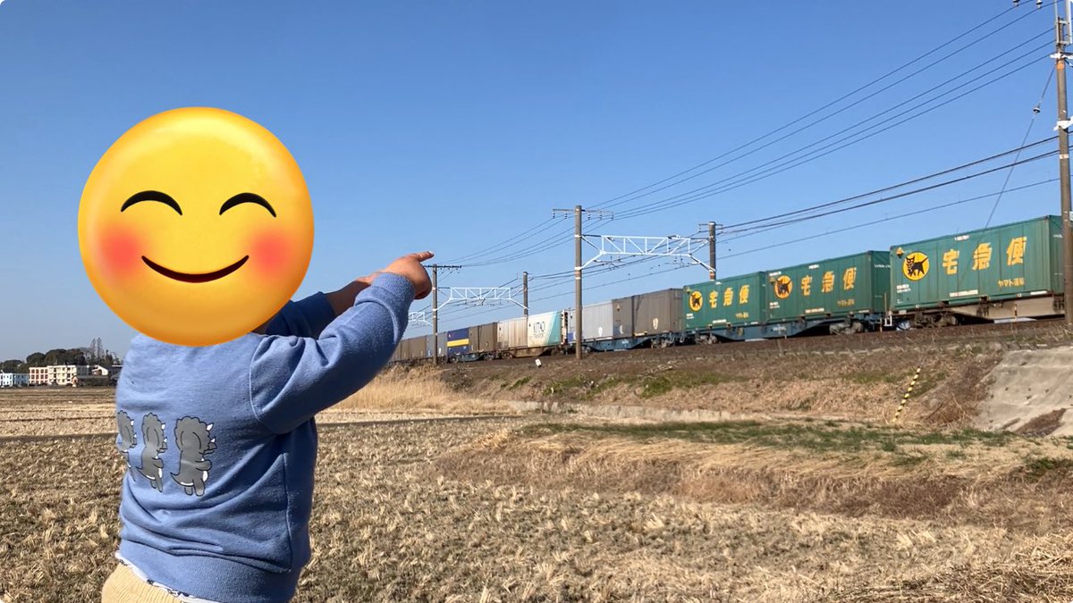 うちの子はマジでUV51Aの緑ヤマト運輸のコンテナが好きなんだと再認識