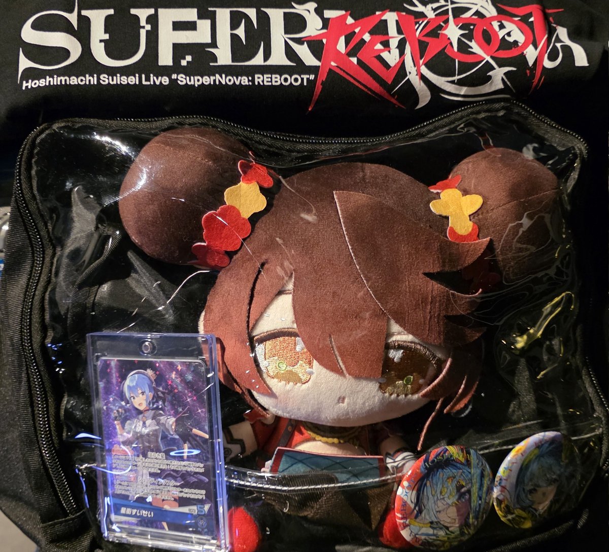 ポメ子様 本日はロボ子さんと応援です🤖☄️ #かけめぐるほしまち再