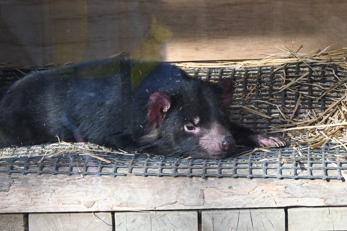 多摩動物公園に蟲・カメラ繋がりの皆さんと行きました 大変有意義な