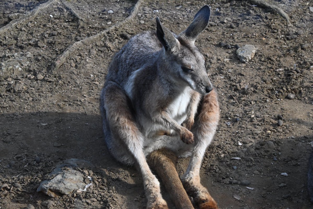 多摩動物公園に蟲・カメラ繋がりの皆さんと行きました 大変有意義な