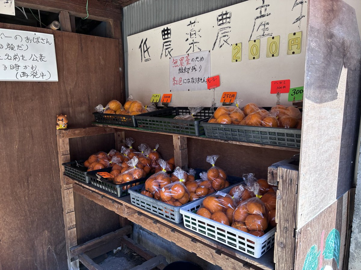 旅人しげちゃん (@ShigeTabi) / Posts / X