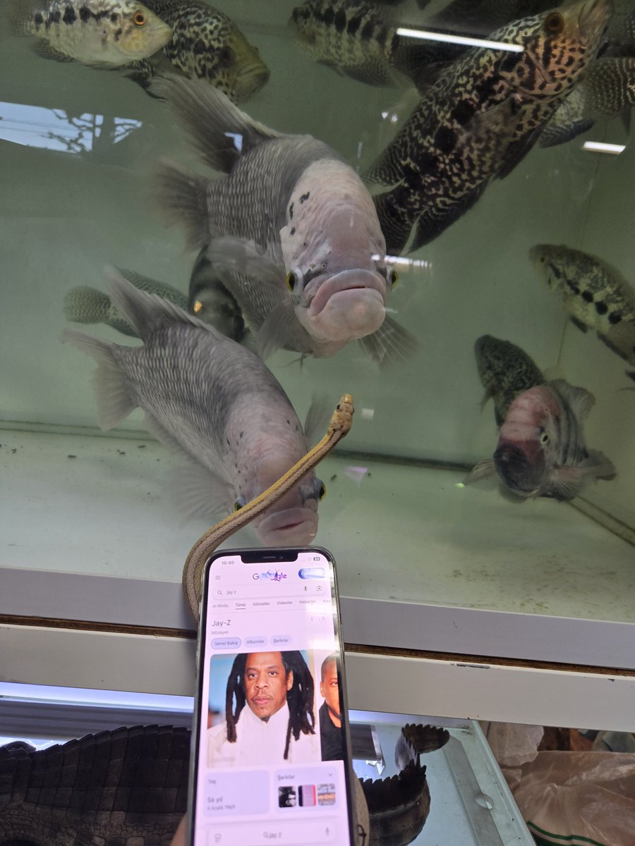 スタッフがずっと 誰かに似てると言うもんだから….