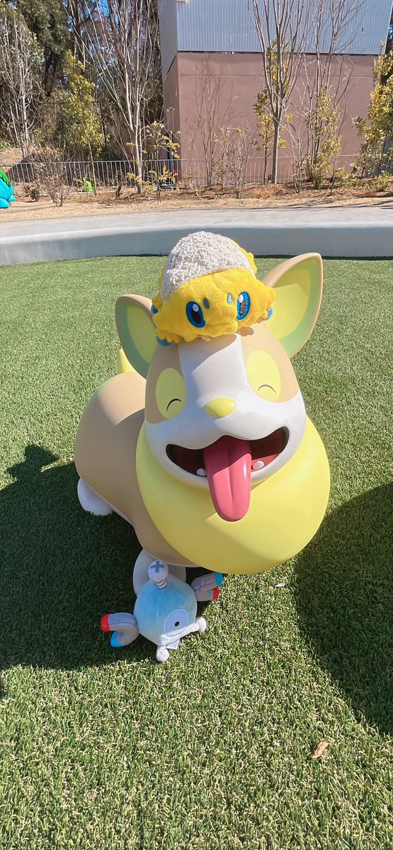 みどにゃん🌱 (@midonyaaaan) / Posts / X