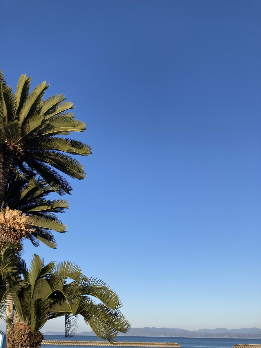 sakonoko's tweet photo. 雲一つ無い指宿の空。
砂風呂も初体験でホンマ最高やな https://t.co/YkZsVxMtm6
