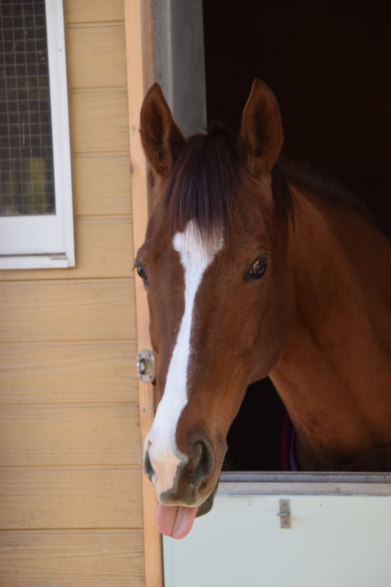 yousuke (@nsw0hqOoZI41867) / Posts / X