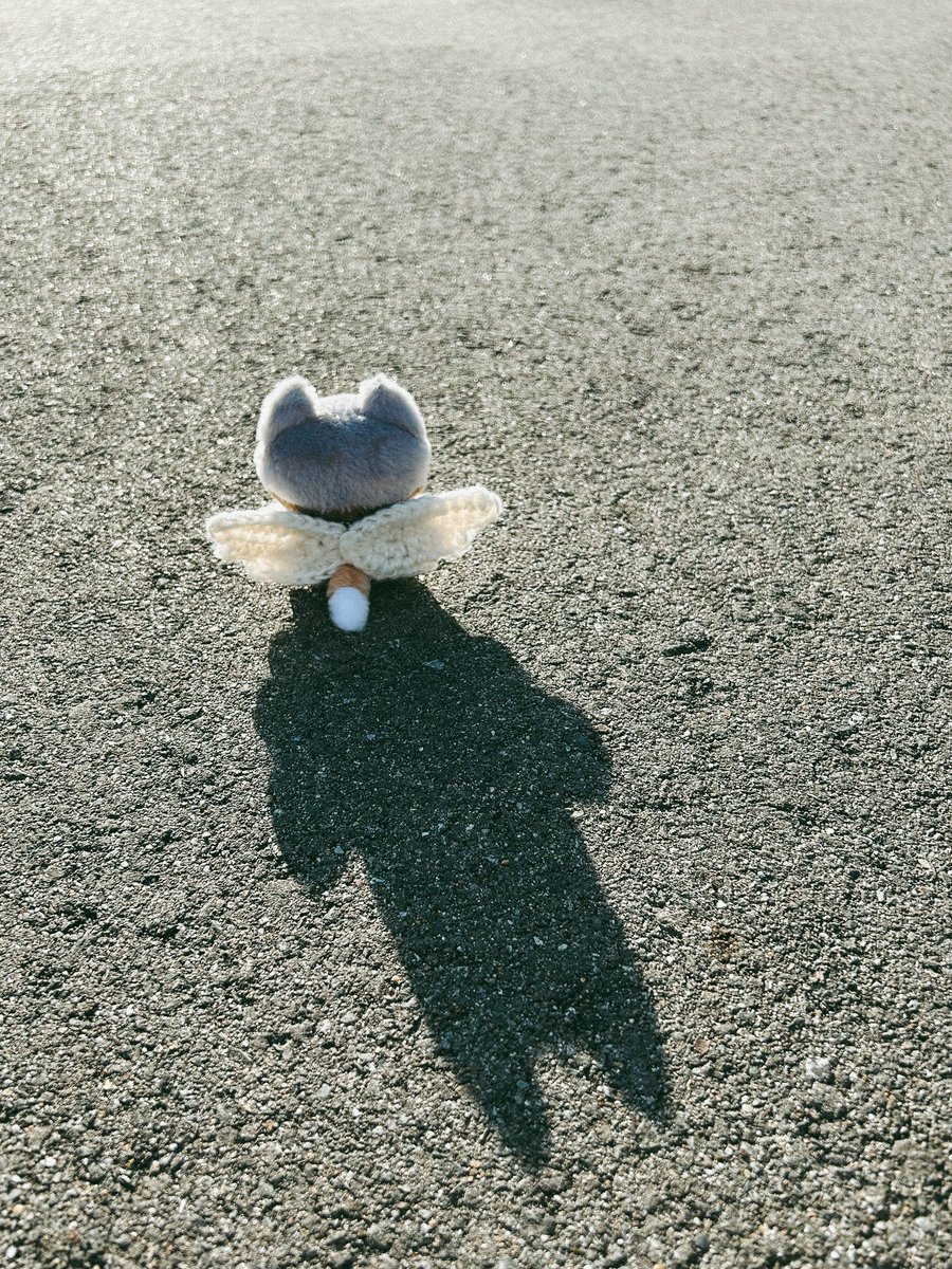 西ぴ (@o____38) on X