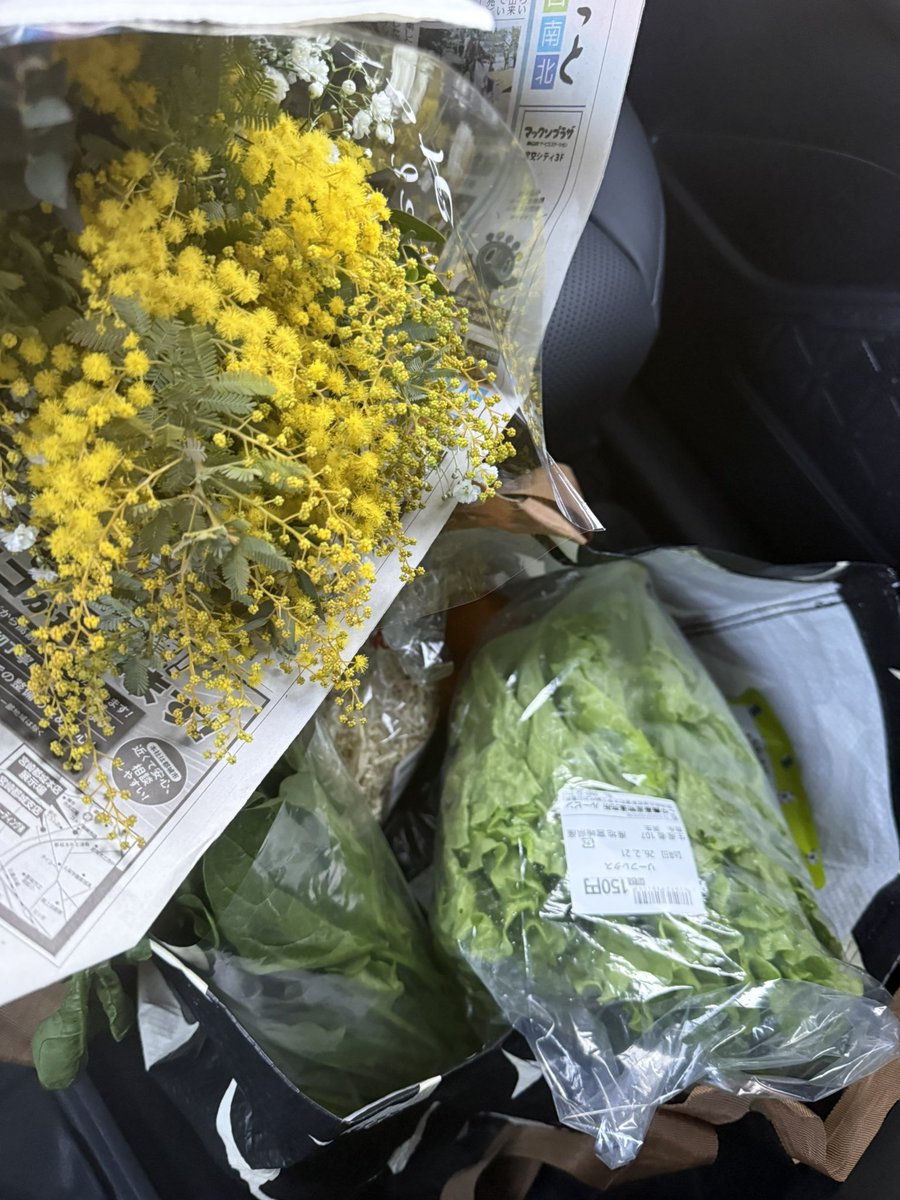 itoharu17's tweet photo. 宮崎の直売所で野菜と花を買いに来ただけだからね😥
 #鳥栖サポ宮崎遠征 https://t.co/7A5BsmuDLV