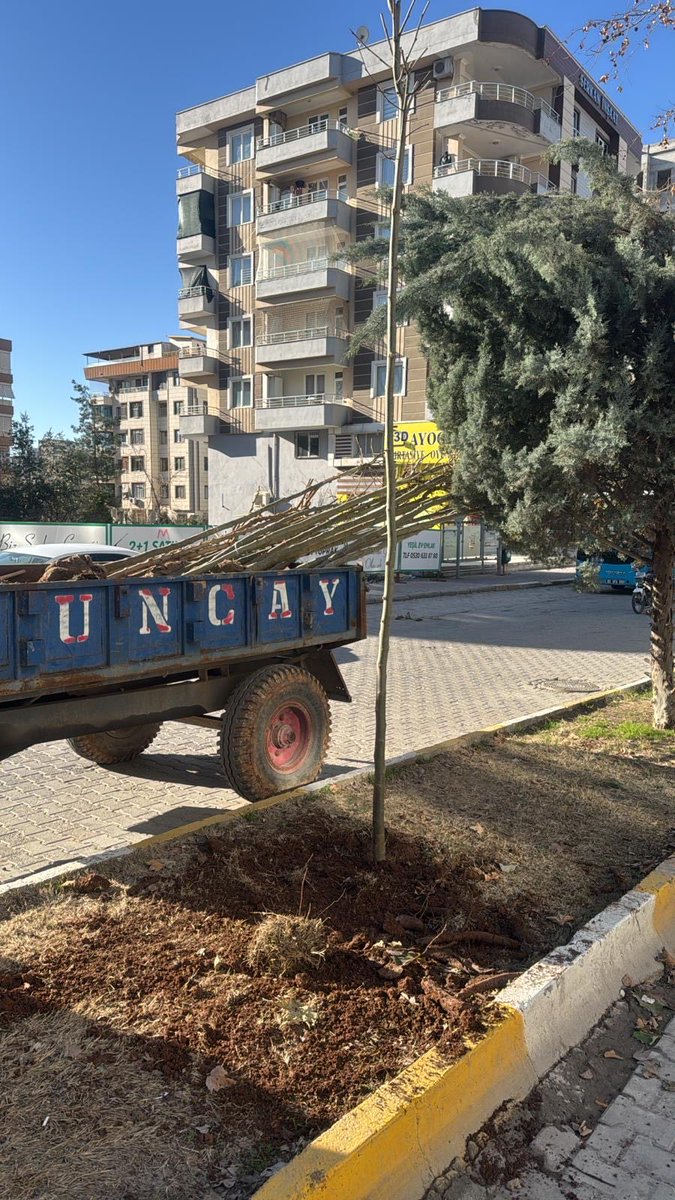 📍Kazım Karabekir Bulvarı ❤️

Park ve Bahçeler Dairesi  Başkanlığına bağlı ekiplerimiz;👷🚧👷

 Ağaç dikimi çalışmalarını hız kesmeden sürdürmektedir.🌲

#YeşilŞehirŞanlıurfa 

<a href="/sanliurfabld/">Şanlıurfa Büyükşehir 🇹🇷</a> 
<a href="/MithatCanKutluc/">Mithat Can KUTLUCA</a> 
<a href="/halilaldeniz_/">Halil Aldeniz</a> 
<a href="/Tuba_Yaygin/">Tuba Yaygın</a> 
<a href="/sukrukaracads/">şükrü karaca</a> 
<a href="/musadokuz_/">Musa dokuz</a>