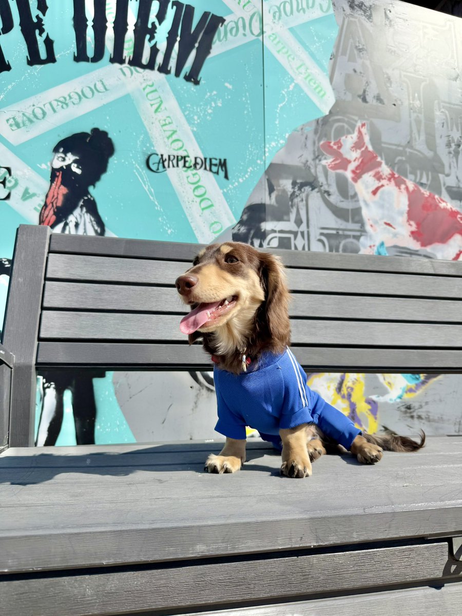 Post by 栃木のノアちゃん on X: 映え📸