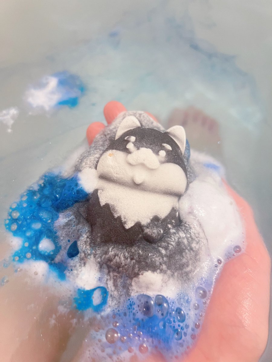 頂いたバスボム使って湯船入ってる🛁🐶
お風呂好きだからうれしい