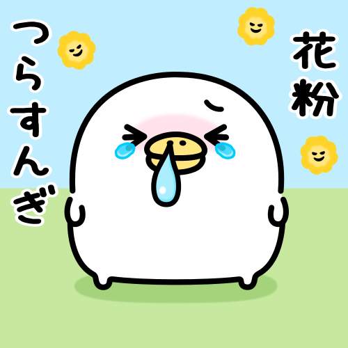 花粉との闘い開幕🐥 みなさんもお気をつけください🍠