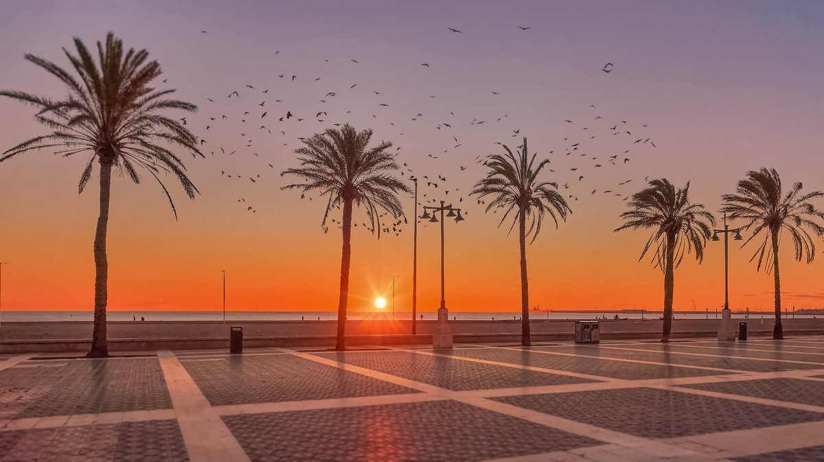 Álex Muñoz 💯 🧡 tweet media