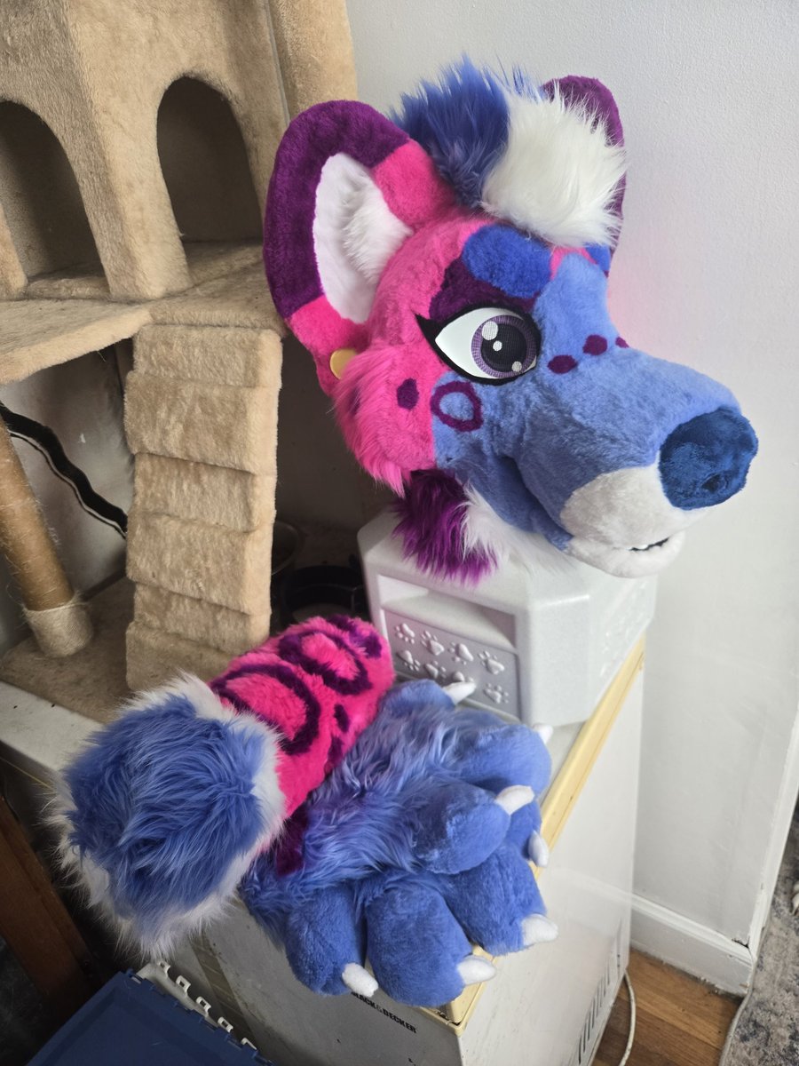 Salty-Frenchfries tweet media