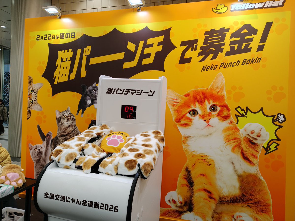 渋谷に用のある方いませんか？
ちょうど22kgのパンチをすると猫の可愛いキーホルダー貰えるらしい！
軽く触れたつもりが余裕で30kg超えちゃう😭
空手経験者には無理ゲーでした😭

(先程TMCのゲーム世界からの脱出参加してきた！これ１人じゃ無理なやつで ありがたい☺✨️)