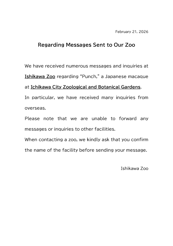 Regarding Messages Sent to Our Zoo

We have received numerous messages and inquiries at our zoo regarding “Punch,” a Japanese macaque.
For further details, please see the image for details.

#IshikawaZoo