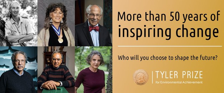 Vantage Network Africa tweet media