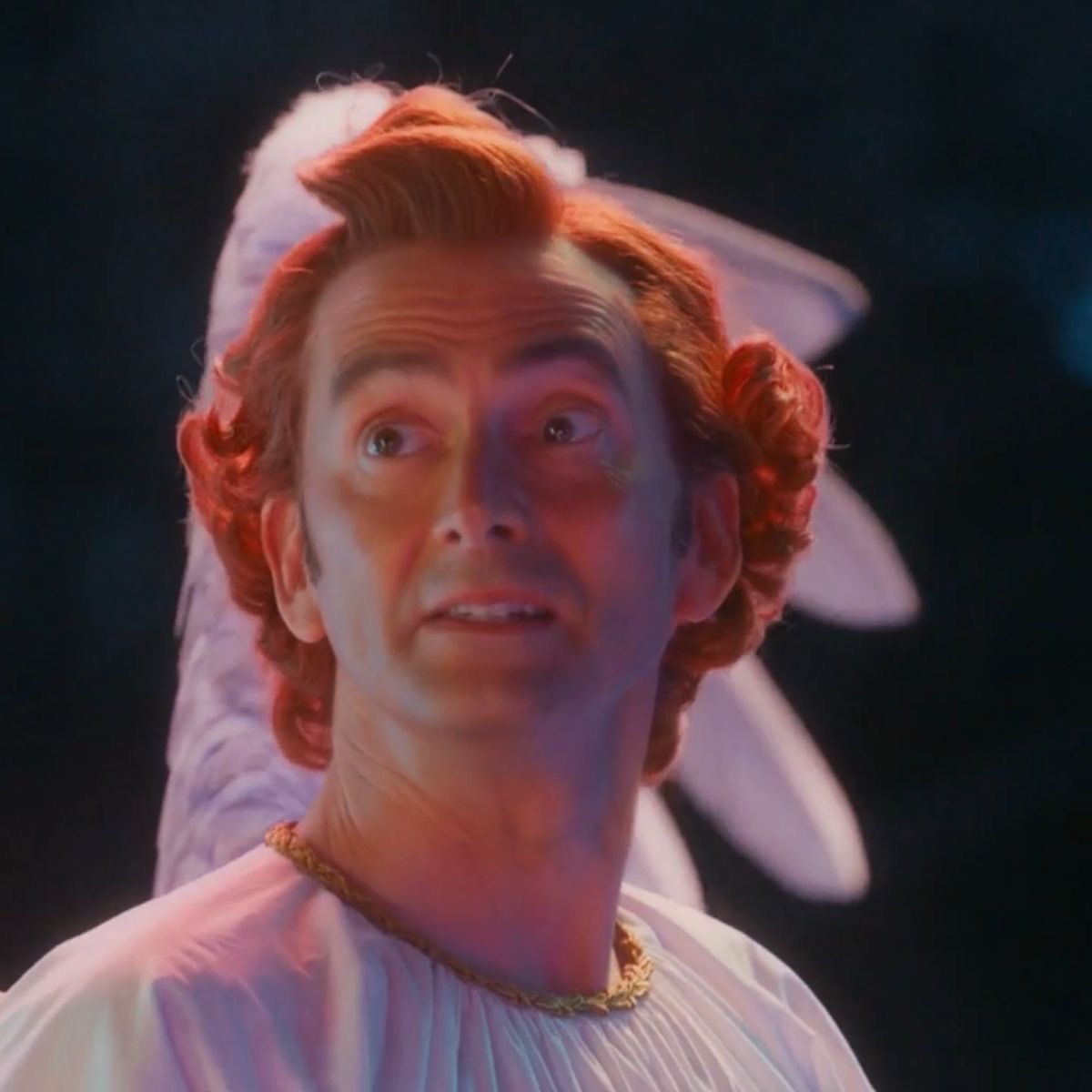 venus 🦎 MAY 13!!!!!!! tweet media