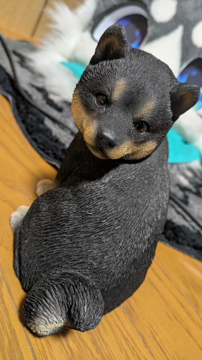 Post by なり丸（NariMaru） on X: わんこ