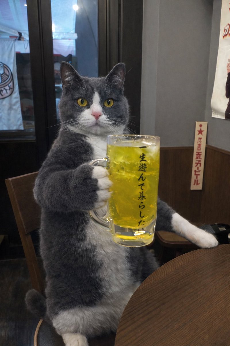 たく tweet media
