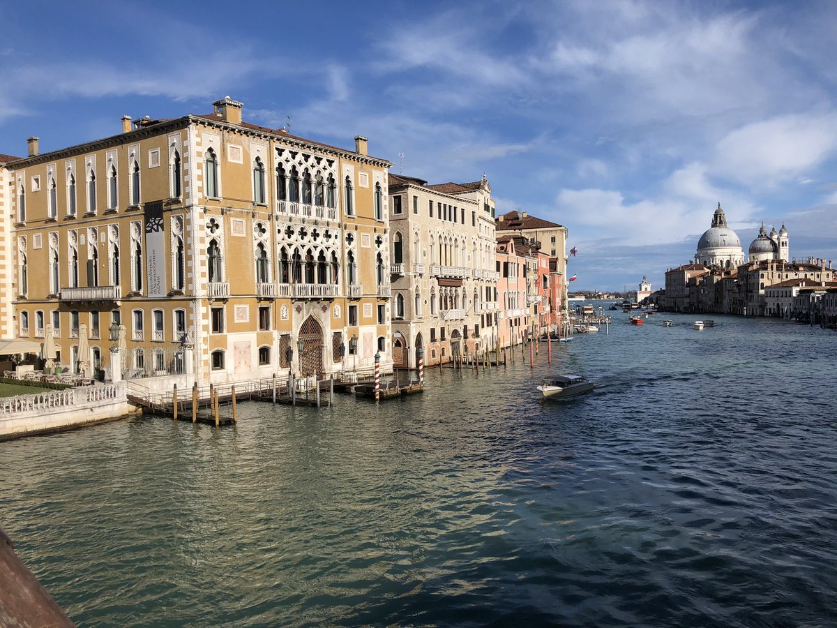 Messidor tweet media