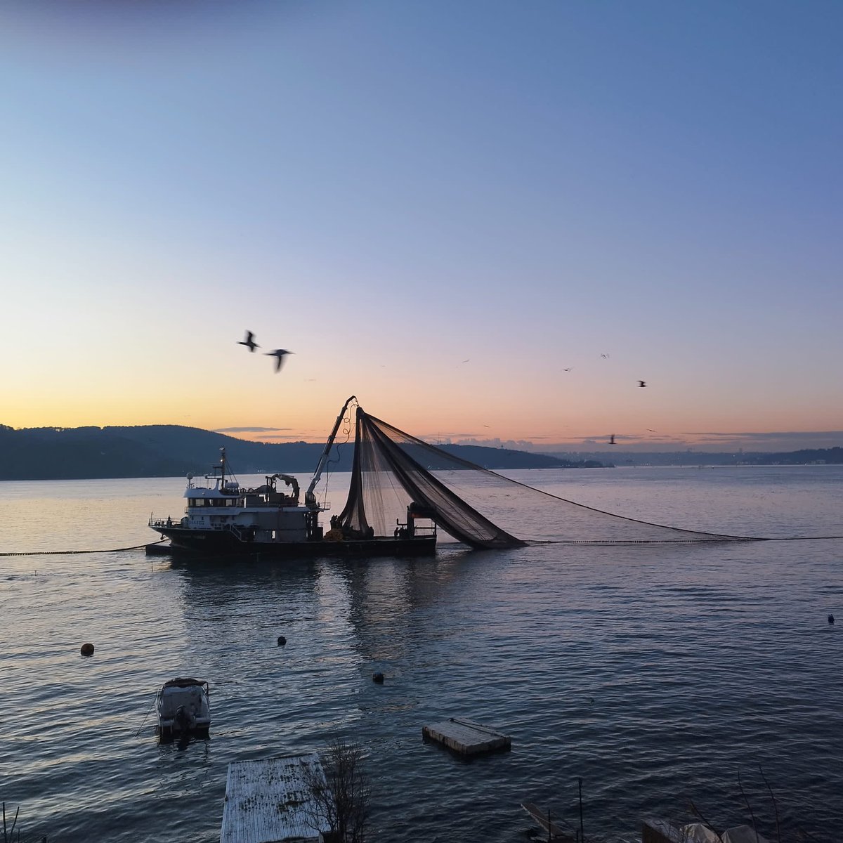 Neredeyse evi saracak maaşallah
Sarıyer - Yenimahalle
20   Şubat

Günümüzde dahi halen Boğazda endüstriyel ava izin veren düzene, bunca yazı, rapor, bilimsel makale, belgesel, kitaba, çalışmaya, komisyona rağmen bu düzenin devamında emeği geçen yetikililere selam olsun..!