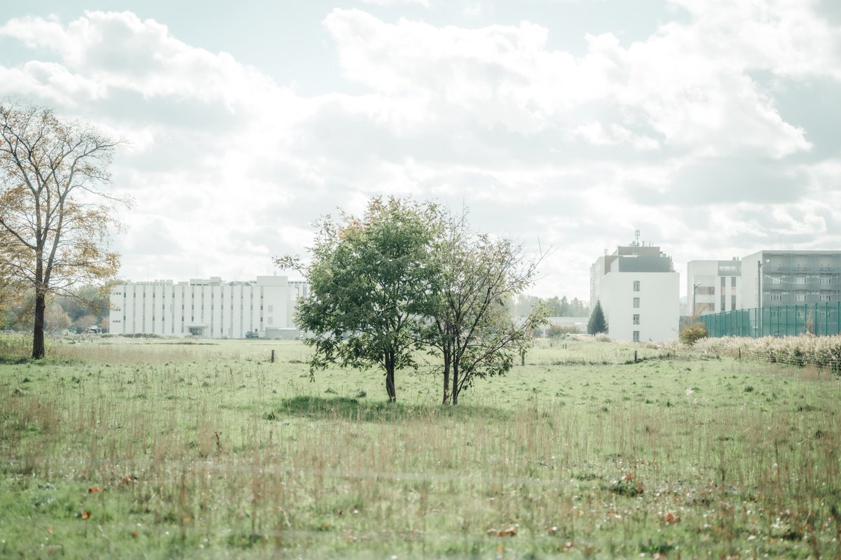 岩 (@48oml) on Twitter photo 