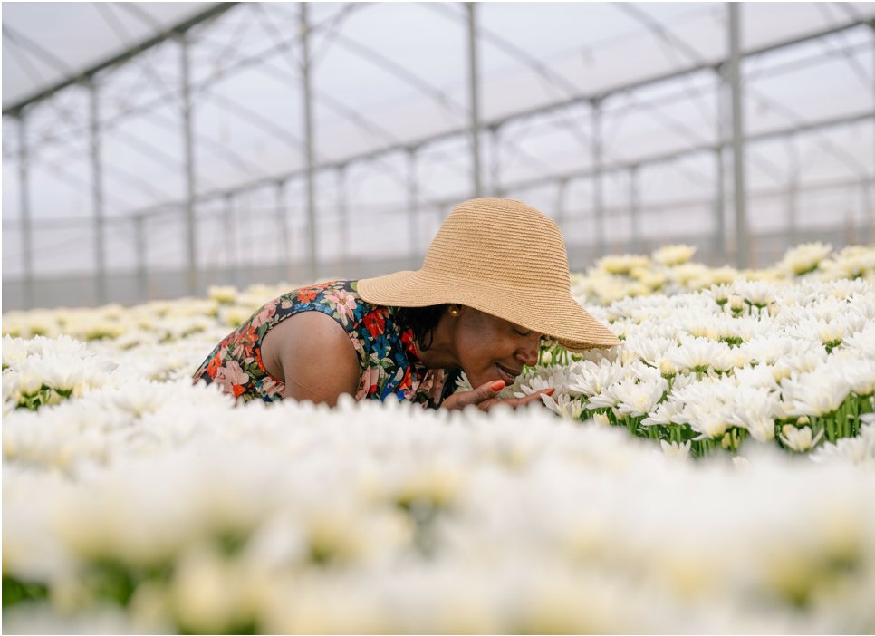 Kenya Tourism Board tweet media