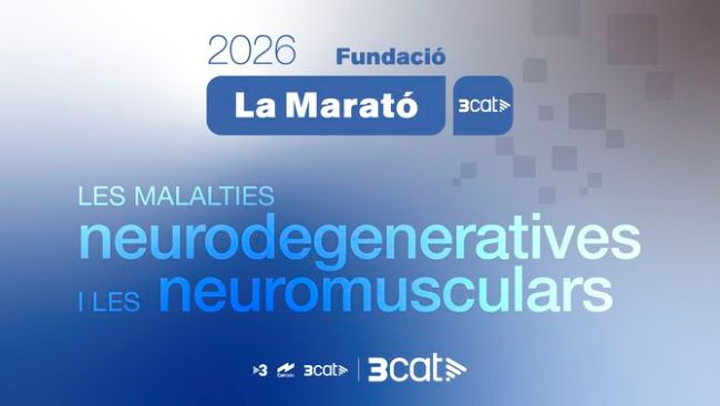 DiariDiscapCat's tweet photo. La Marató de 3Cat 2026 centrarà els seus esforços en la recerca de les malalties neurodegeneratives i neuromusculars #APUNTS #LaMarató3Cat2026 #neurodegeneratives #neuromusculars @NMDSantPau @la_marato @ASEMCatalunya @cocarmi
@AceAlzheimer
https://t.co/BwXSnBdoU3 https://t.co/t7sLIROGGK