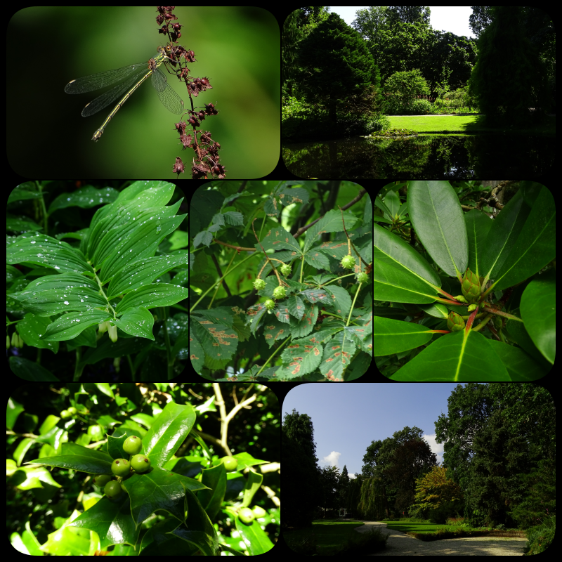 CCommijs's tweet photo. #KleurInDeNatuur ๐๐ท #dag21 #bosgroenrgb 035,140,035 #ColorInNature #day21 #ForrestGreen.
@ChrRoland https://t.co/CHxmYCpee2