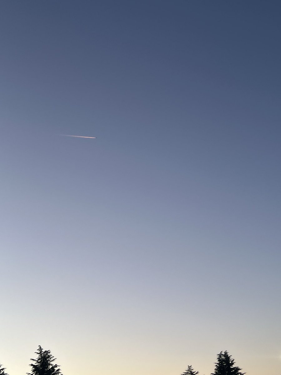 飛行機☁️