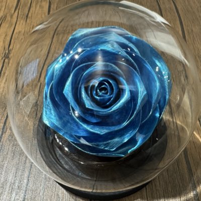 この青薔薇、飴細工なんです🥀💙 新しいアイコンもよろしくお願いし