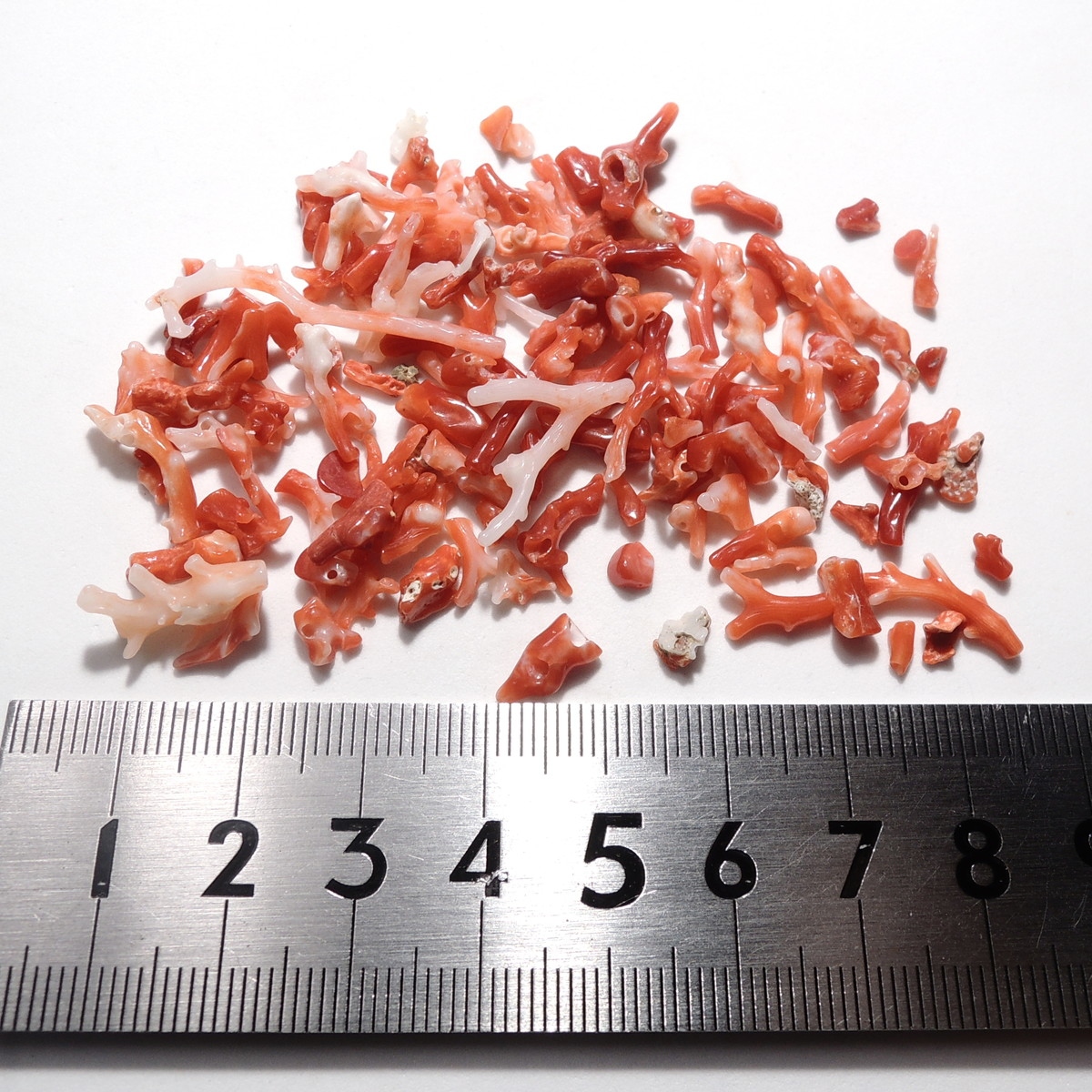 高知県産(土佐沖産)の、赤珊瑚のさざれ。鉱物ではありませんが、宝石