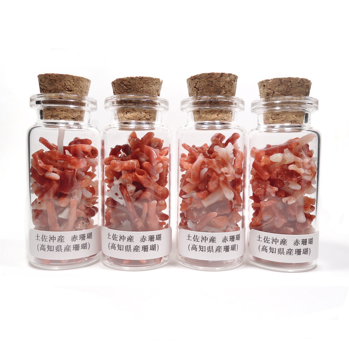 高知県産(土佐沖産)の、赤珊瑚のさざれ。鉱物ではありませんが、宝石