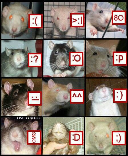 cual es su estado de animo1'?!!?