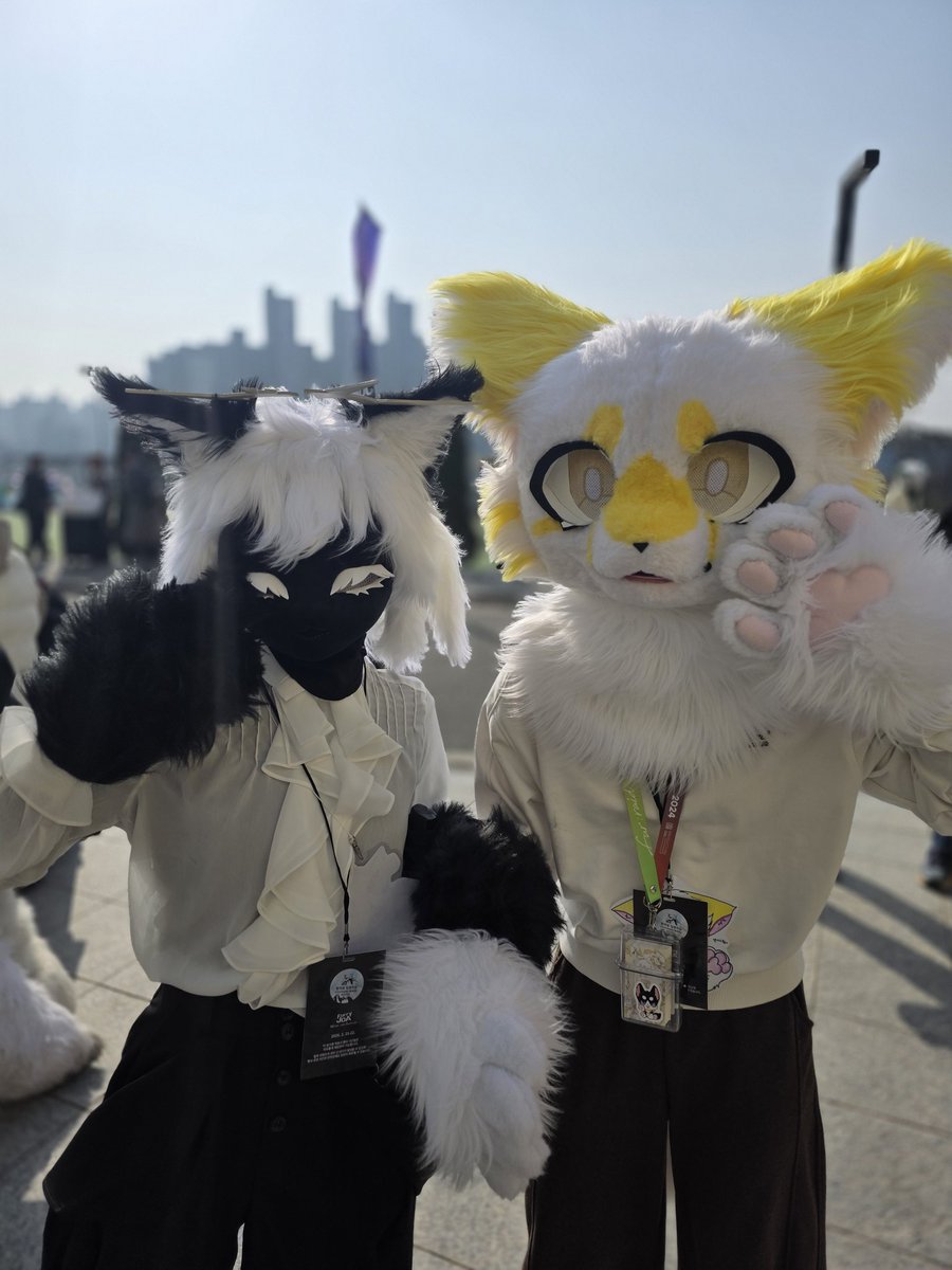 긍정형군인 (배카) (현재 군복무중🪖) tweet media