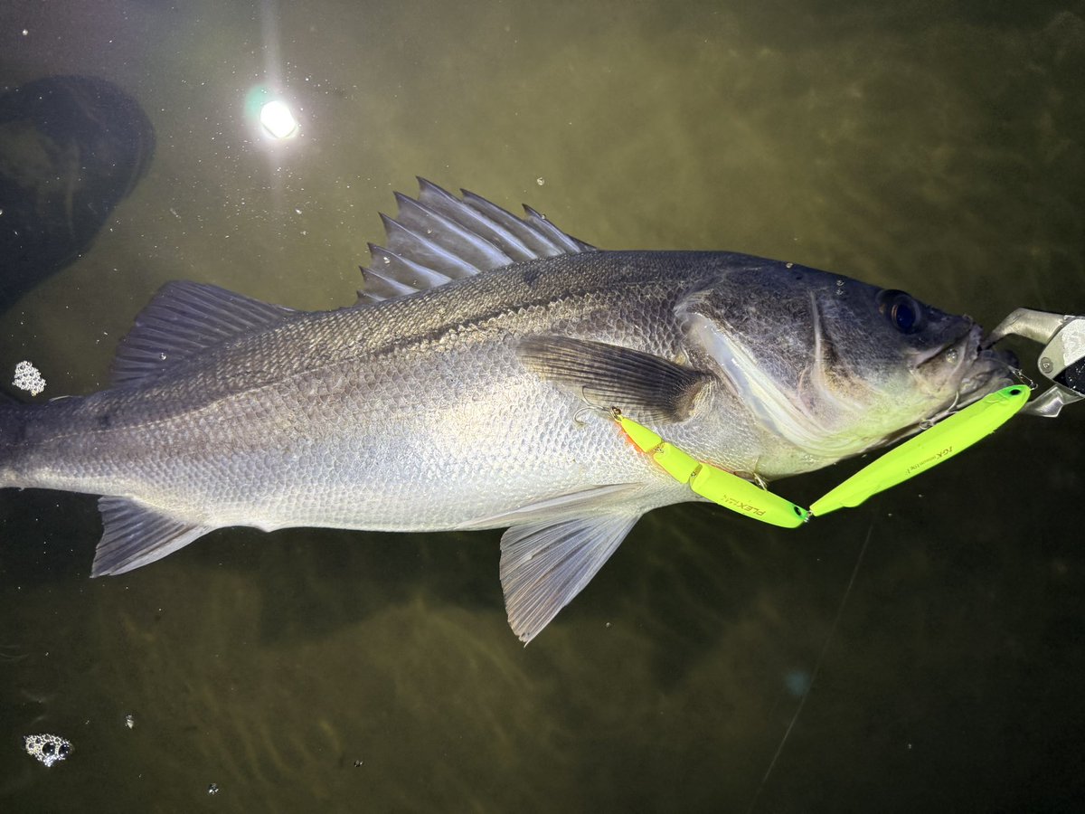 LONGIN (@longin2011) / Posts / X