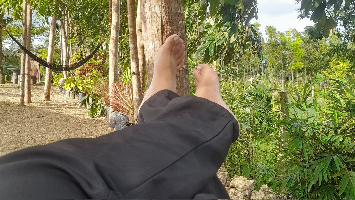 Geo.logy tweet media