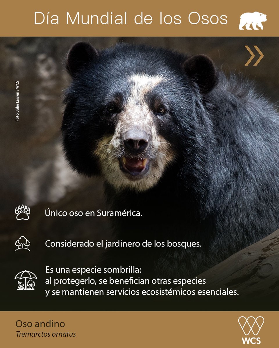 WCS Colombia 💚 tweet media