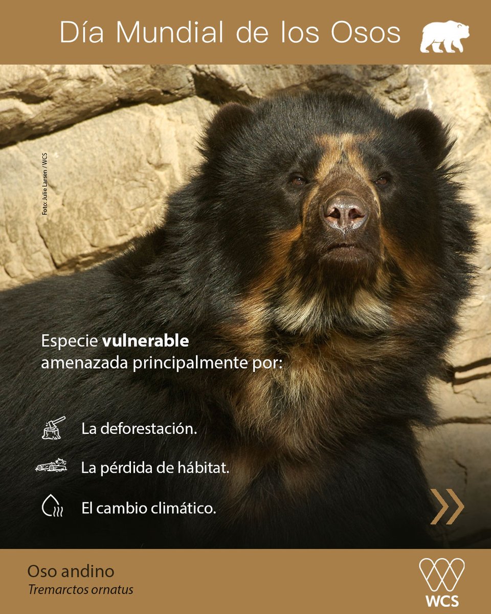 WCS Colombia 💚 tweet media