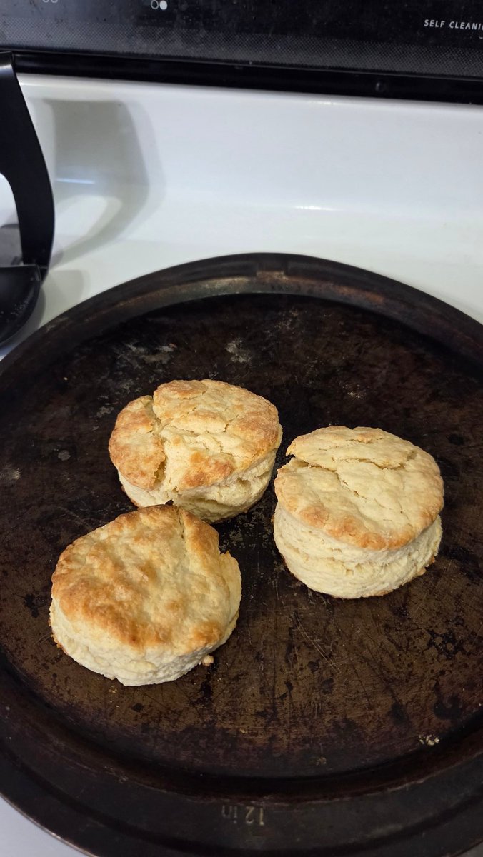 amish_og's tweet photo. First time making biscuits from scratch. How did I do? https://t.co/z5MIkOiqpN