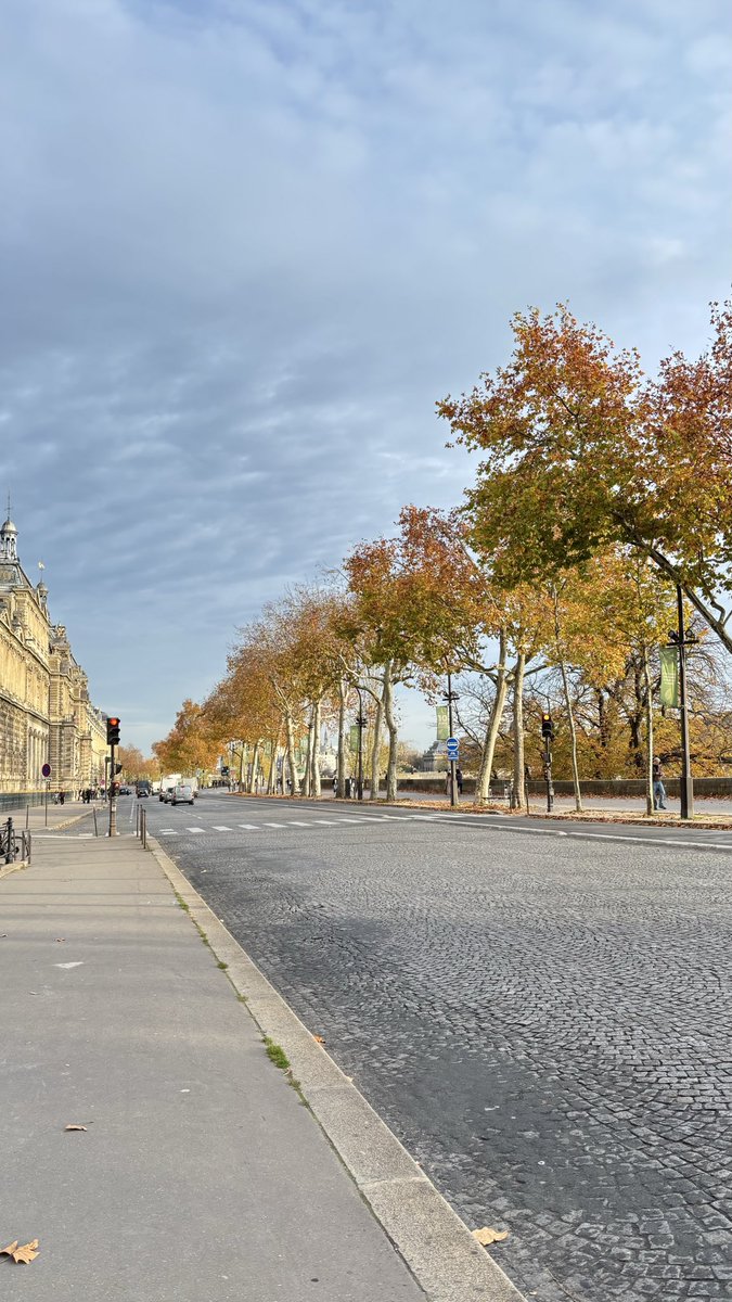 kitcatlatte's tweet photo. Postcards from 2025: Autumn in Paris.🍁 https://t.co/mGs3ncSWbM