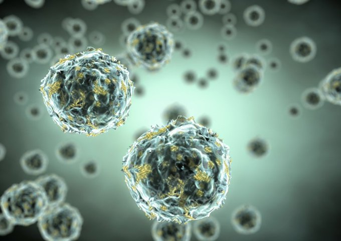 🚨: Un biólogo japonés ganó el premio Nobel por descubrir cómo el cuerpo se come sus propias células dañadas cuando no recibe alimento