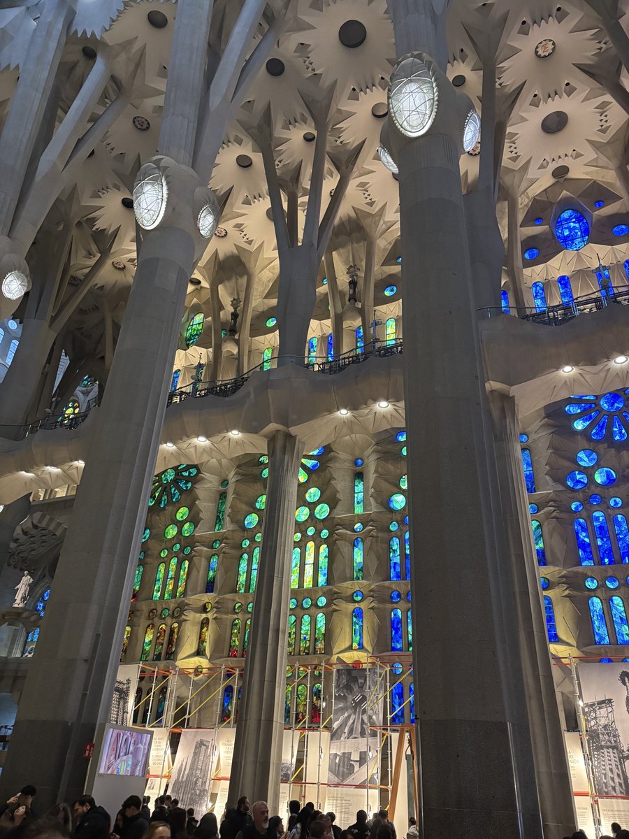 MFL DEPT OLCHS tweet media