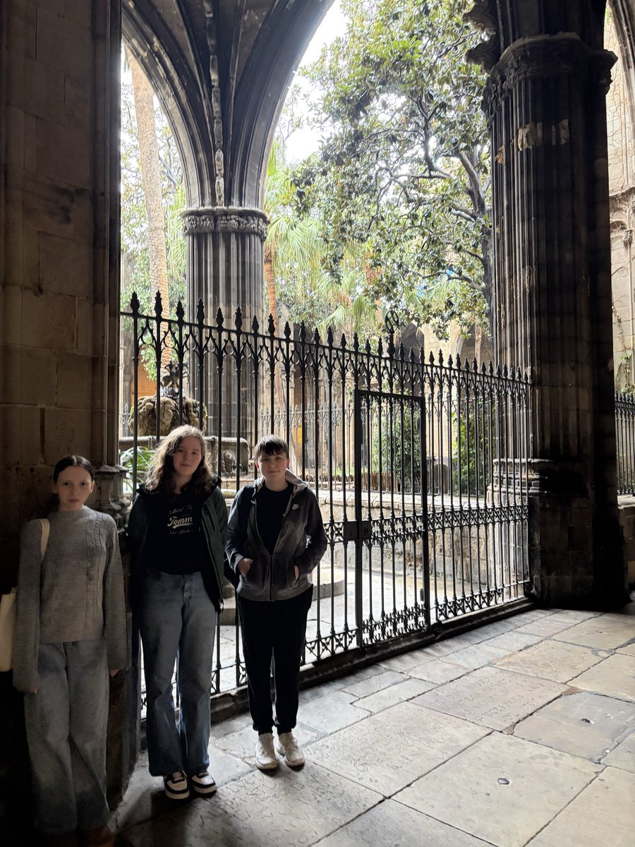 MFL DEPT OLCHS tweet media