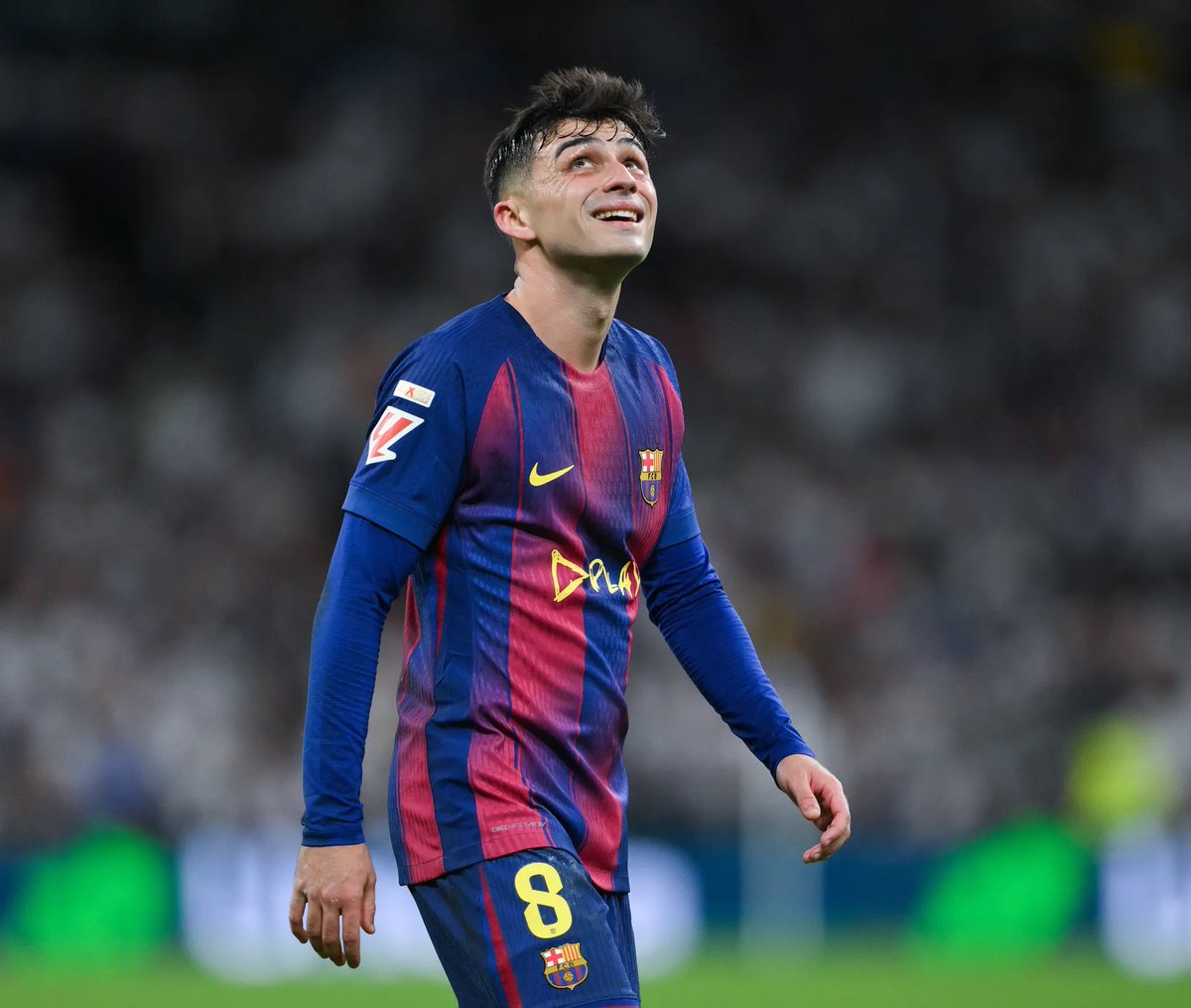 Berneese tweet media