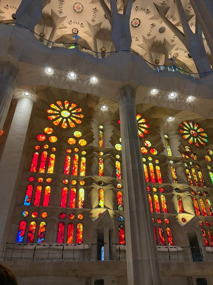 MFL DEPT OLCHS tweet media