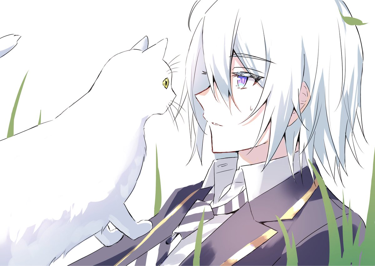 🐾