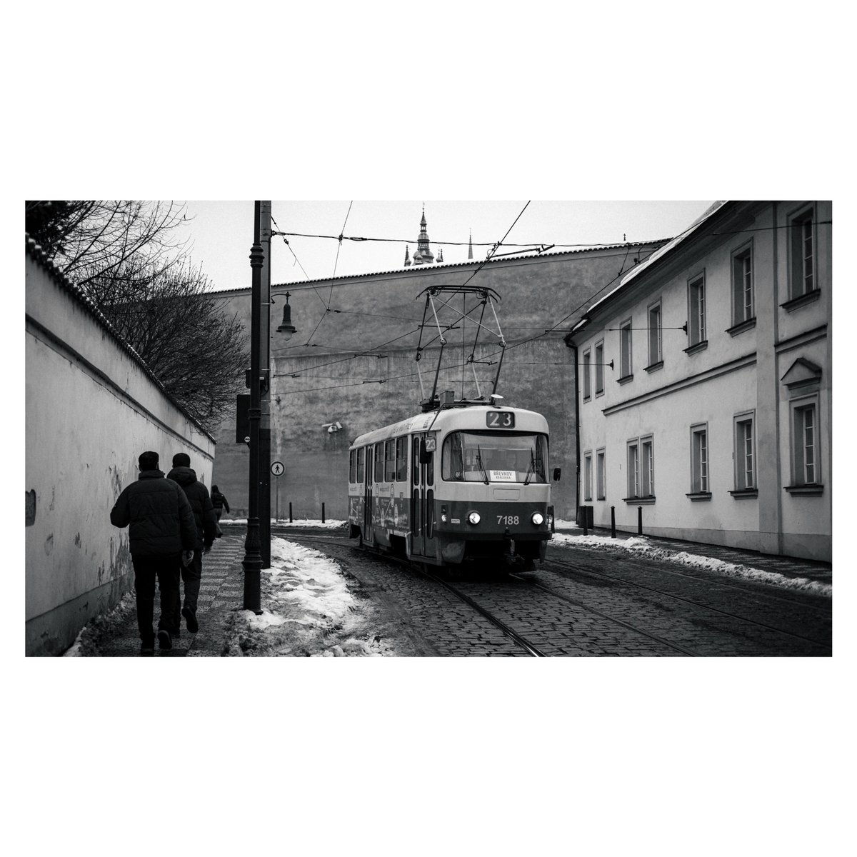 Tikuwa (@tikuwa_camera) on Twitter photo 